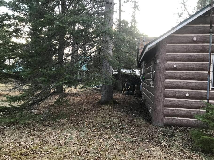 O Me, O Mio Cabin Near The Ausable River Esterno foto